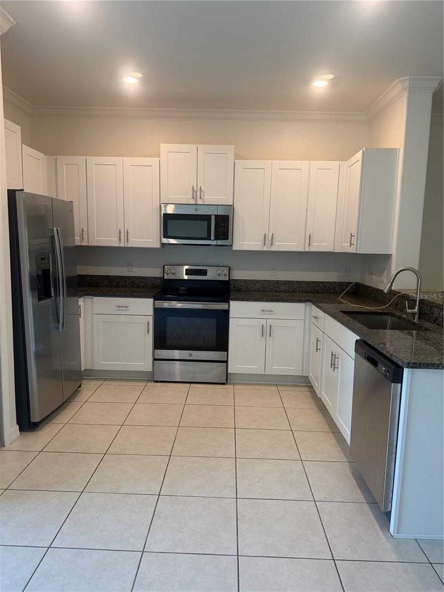 17586 NECTAR FLUME DR, LAND O LAKES, FL, 34638