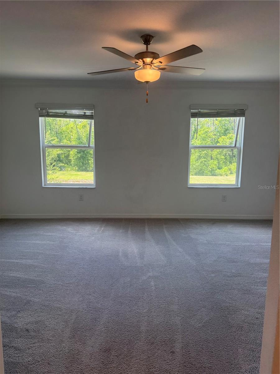 17586 NECTAR FLUME DR, LAND O LAKES, FL, 34638