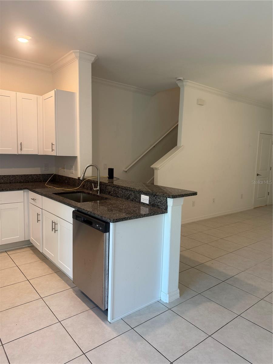 17586 NECTAR FLUME DR, LAND O LAKES, FL, 34638