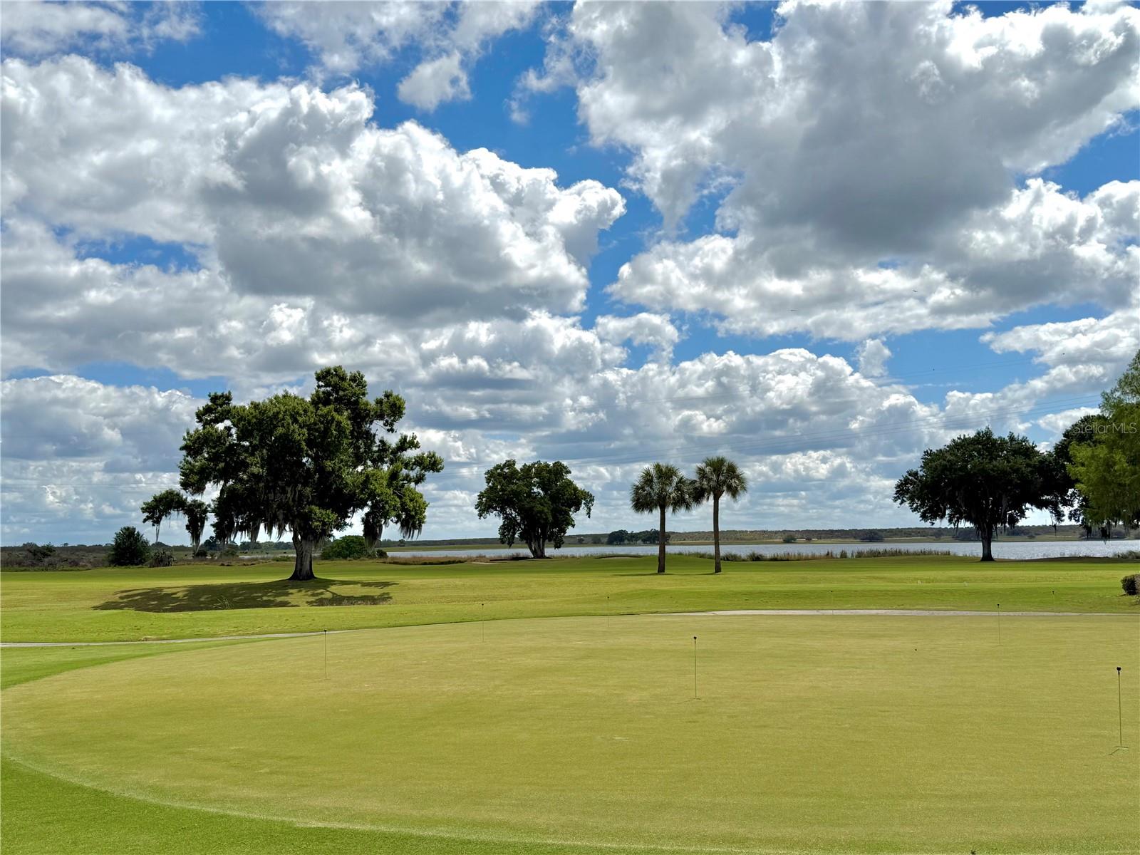 77 W LAKE DAMON DR, AVON PARK, FL, 33825