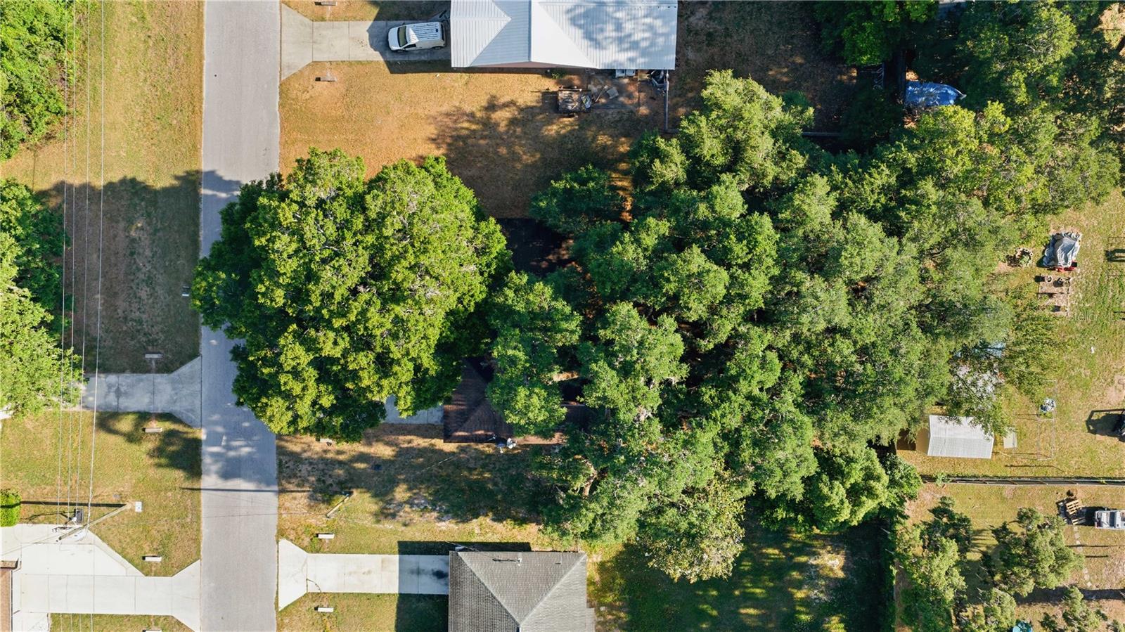 5521 NE 11TH AVE, OCALA, FL, 34479