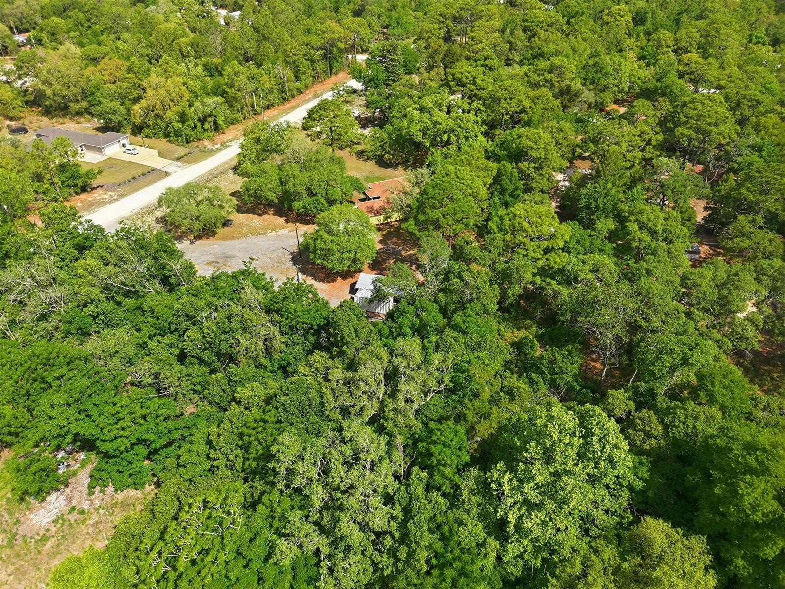 14056 TAYCO DR, WEEKI WACHEE, FL, 34614