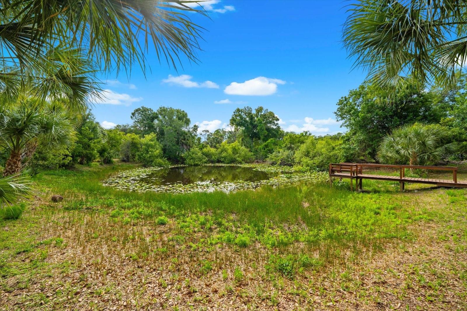 2900 CURRY LN, NOKOMIS, FL, 34275