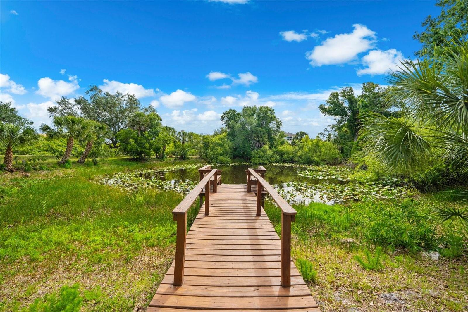 2900 CURRY LN, NOKOMIS, FL, 34275