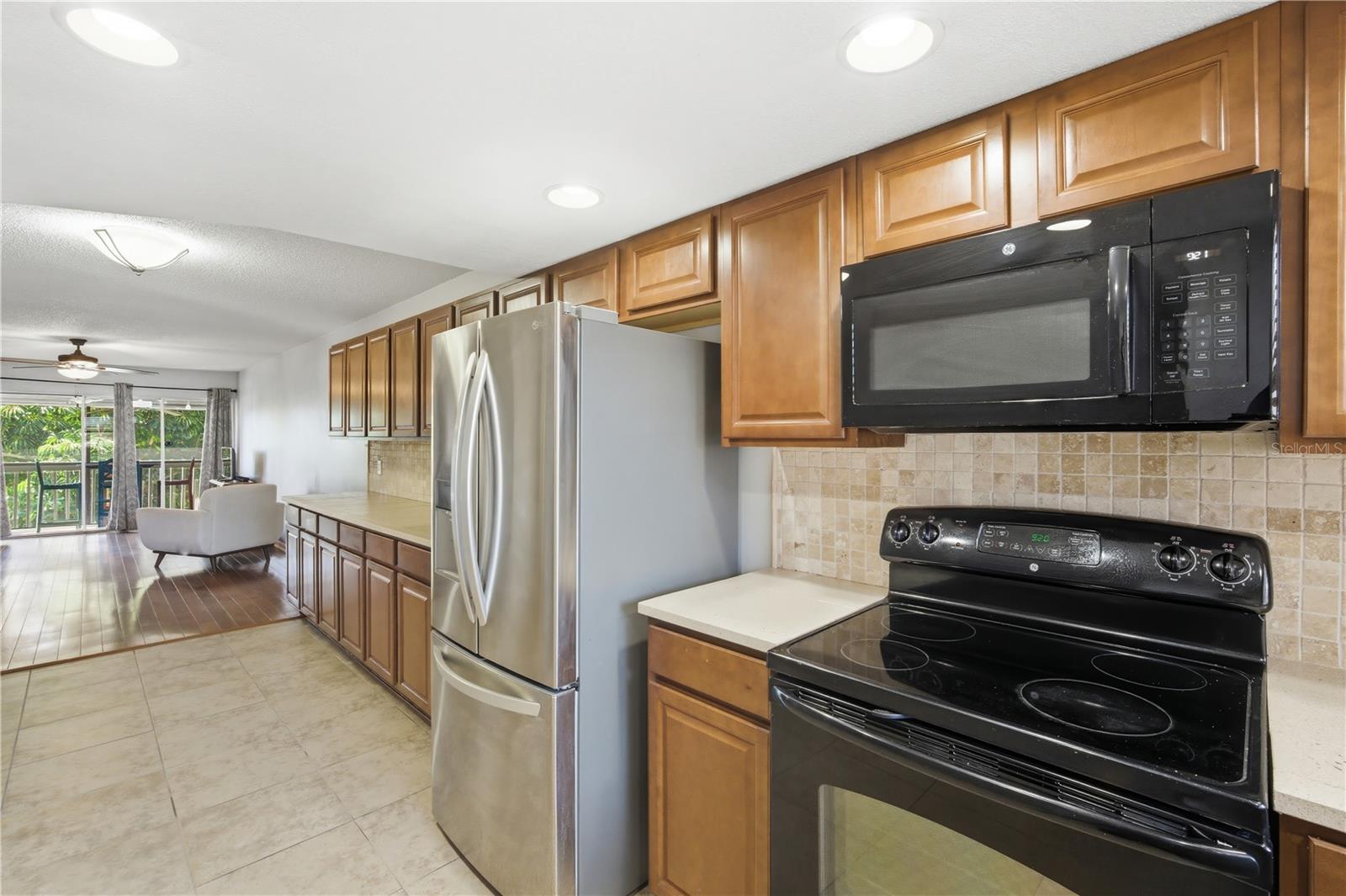 1028 APOLLO BEACH BLVD #203, APOLLO BEACH, FL, 33572