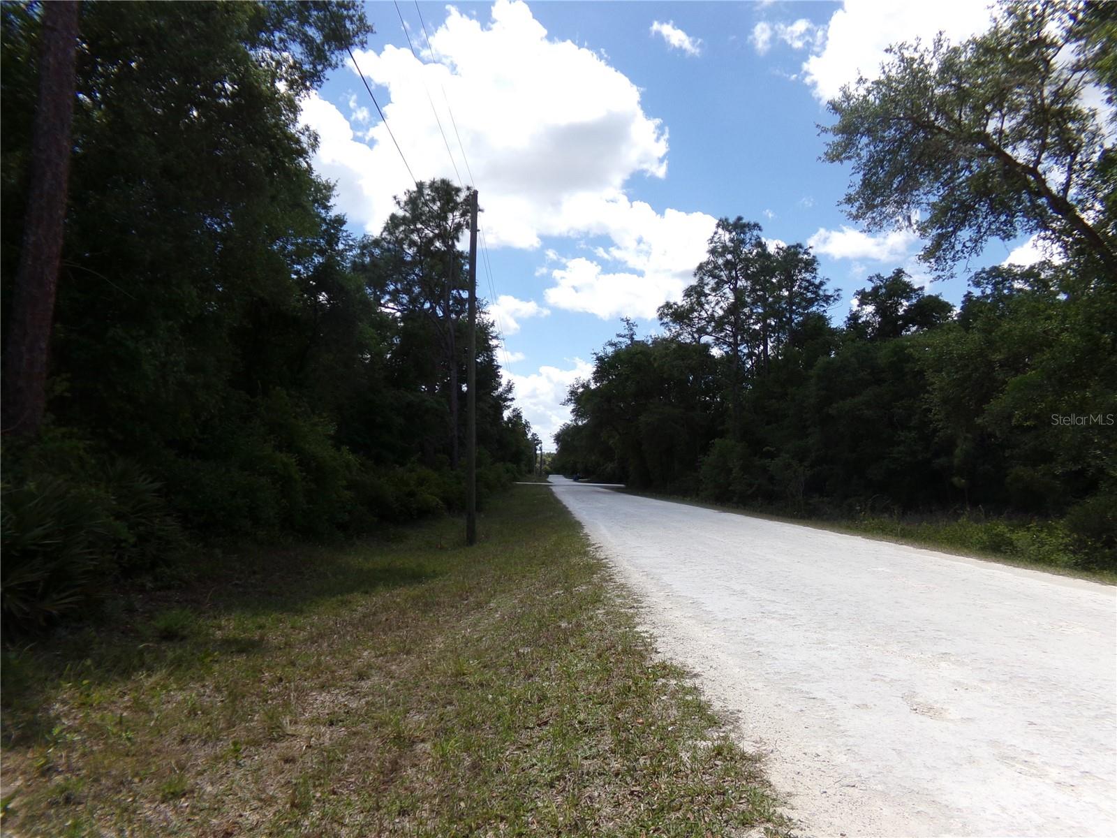 00 CASHEW DR, WEBSTER, FL, 33597