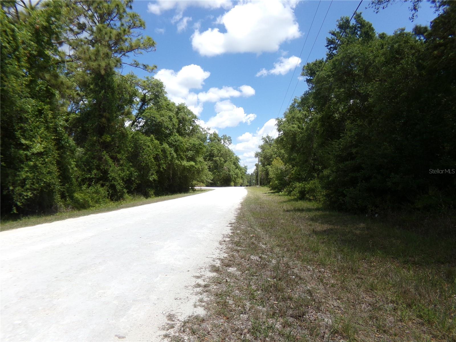 00 CASHEW DR, WEBSTER, FL, 33597