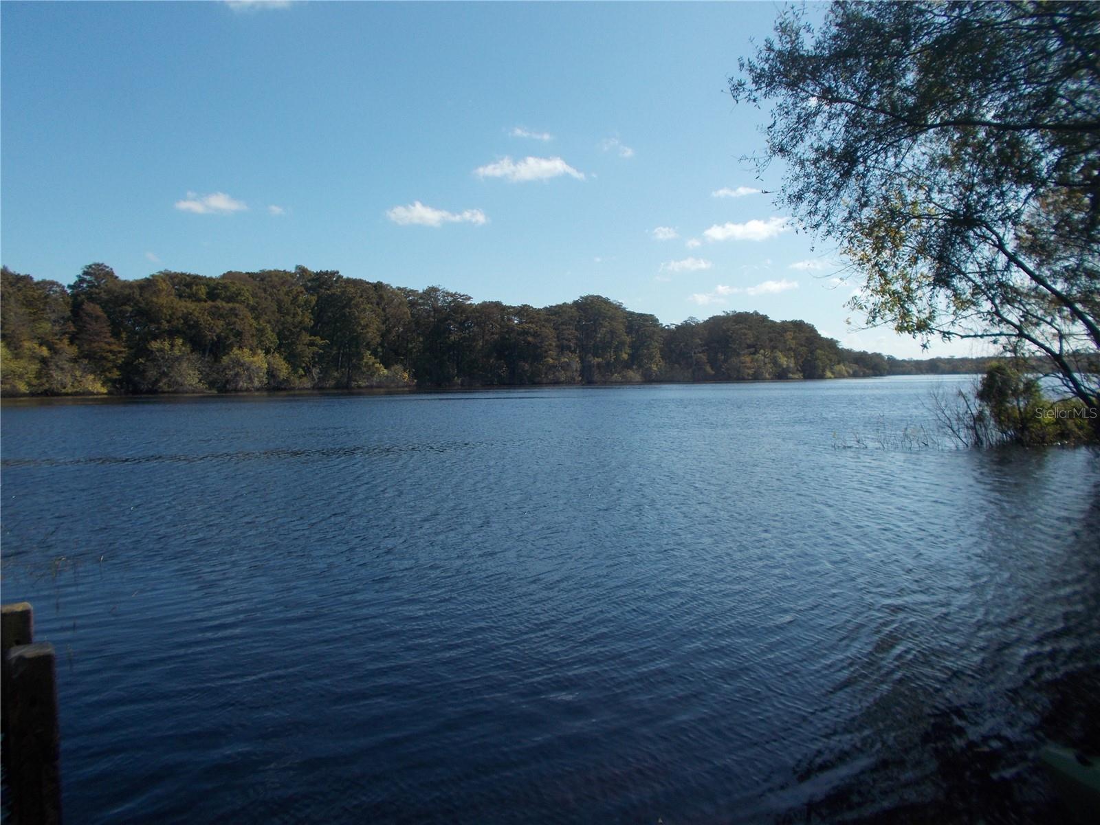 00 CASHEW DR, WEBSTER, FL, 33597