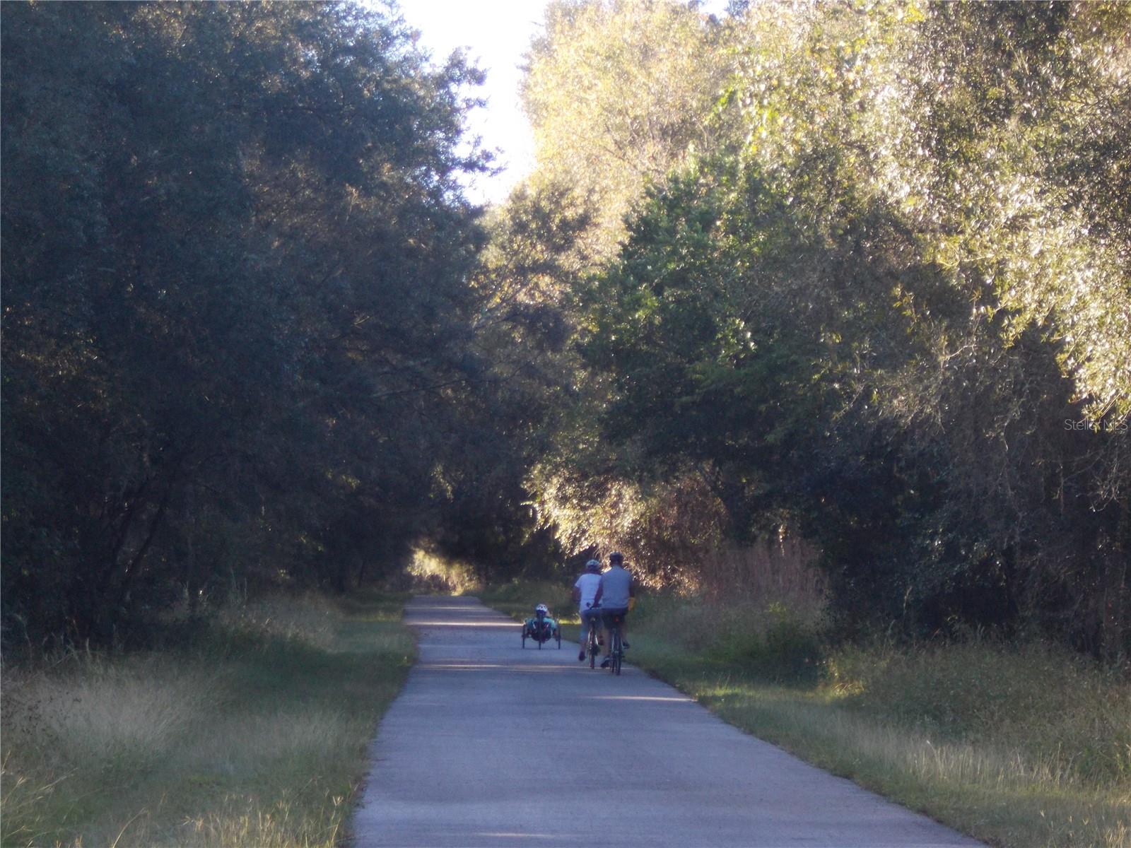 00 CASHEW DR, WEBSTER, FL, 33597