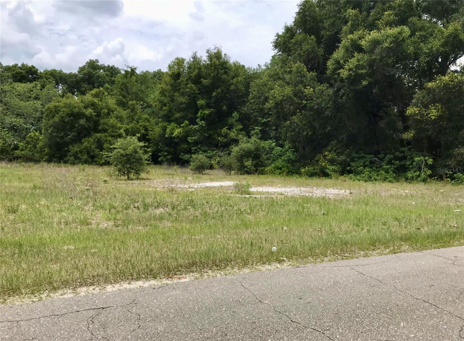 00 COUNTY ROAD 213, WILDWOOD, FL, 34785