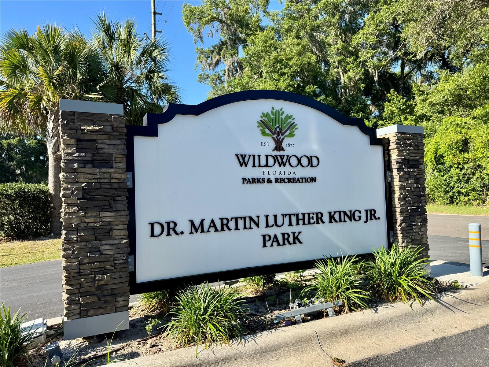 00 COUNTY ROAD 213, WILDWOOD, FL, 34785