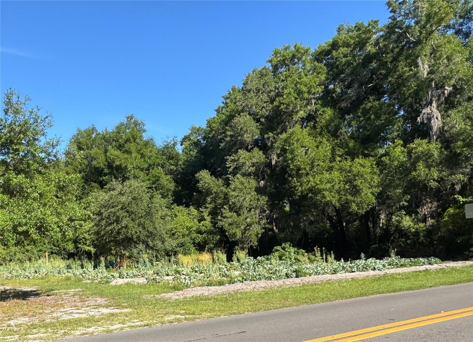 00 COUNTY ROAD 213, WILDWOOD, FL, 34785