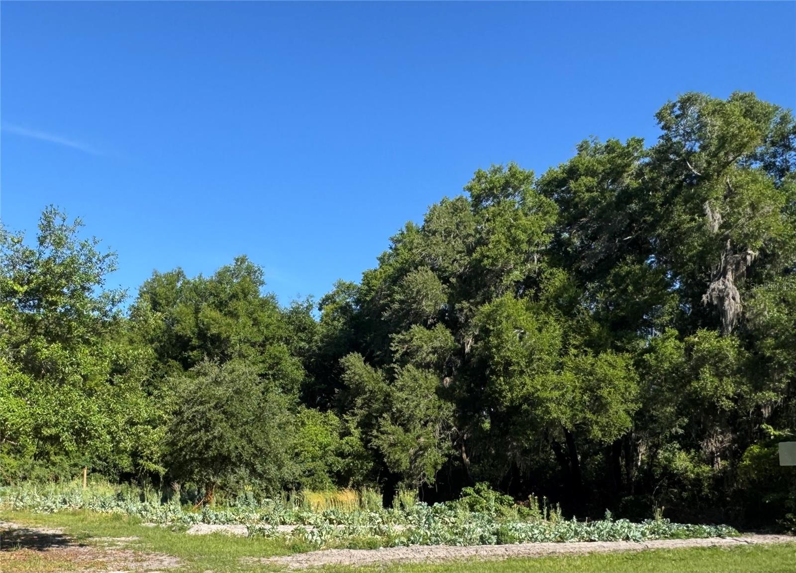 00 COUNTY ROAD 213, WILDWOOD, FL, 34785