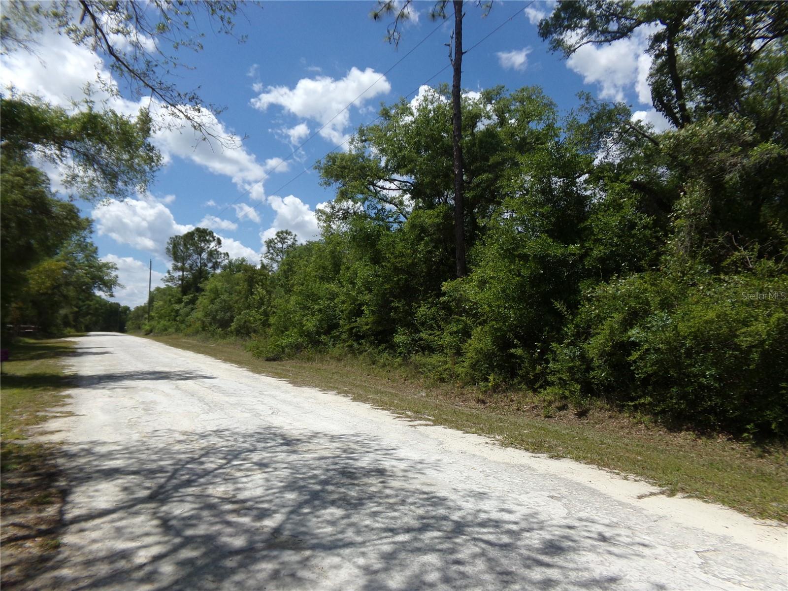 KNOXVILLE DR, WEBSTER, FL, 33597