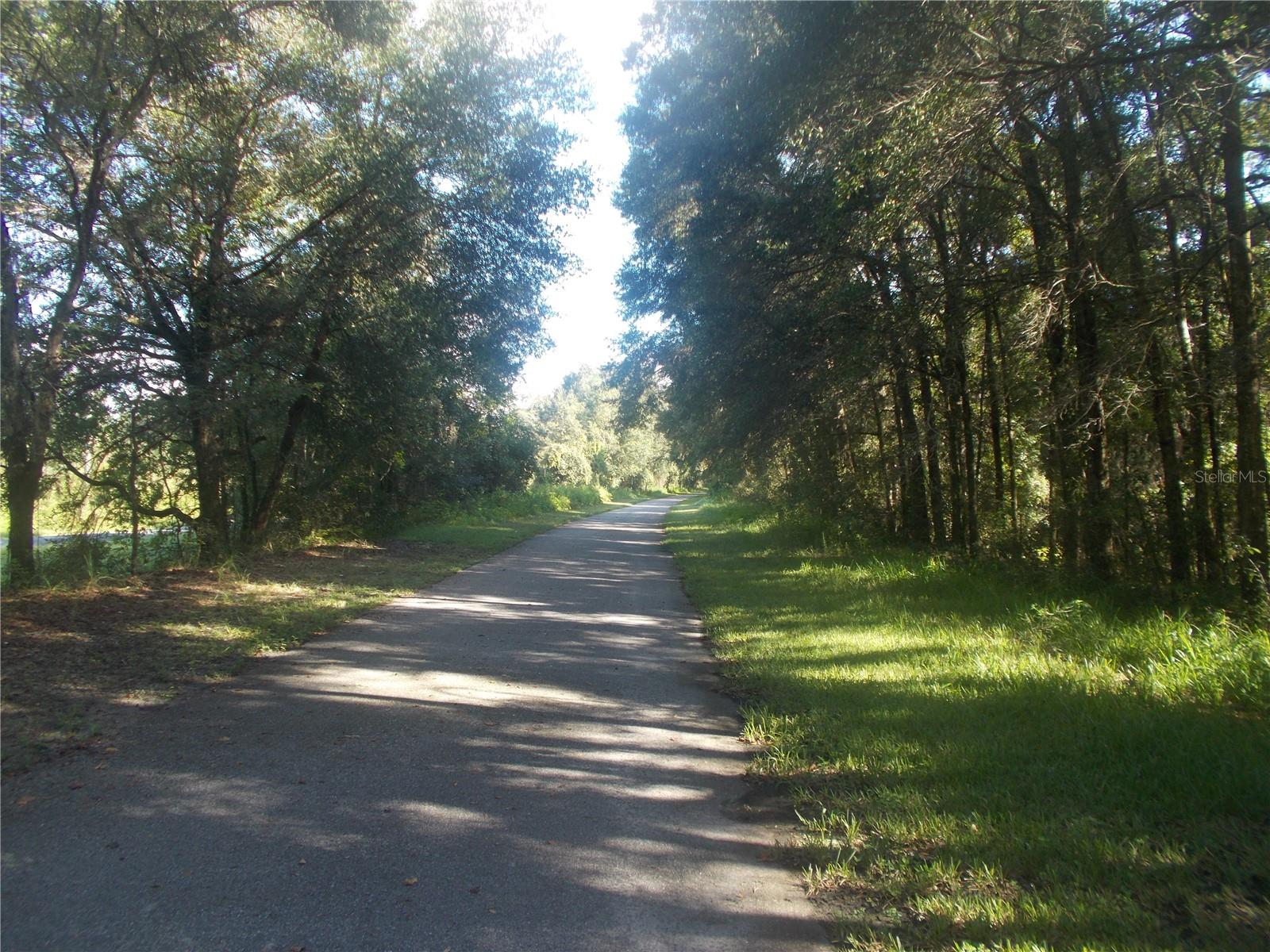 KNOXVILLE DR, WEBSTER, FL, 33597