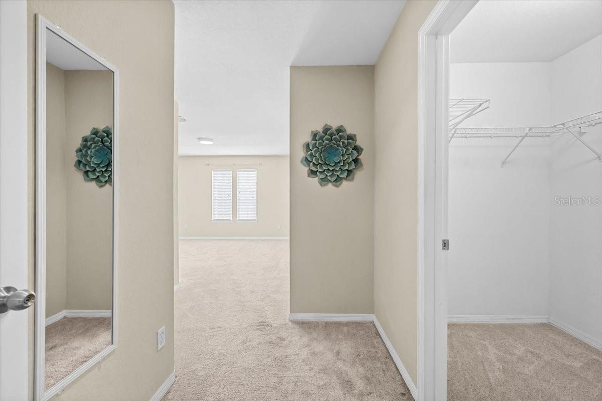 4007 FOXTAIL PALM CT, TAMPA, FL, 33624