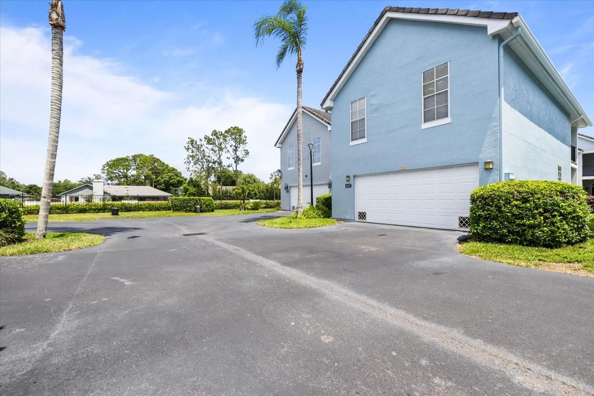 4007 FOXTAIL PALM CT, TAMPA, FL, 33624