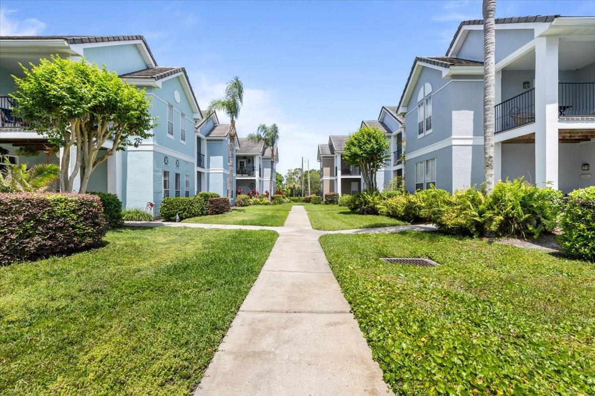 4007 FOXTAIL PALM CT, TAMPA, FL, 33624