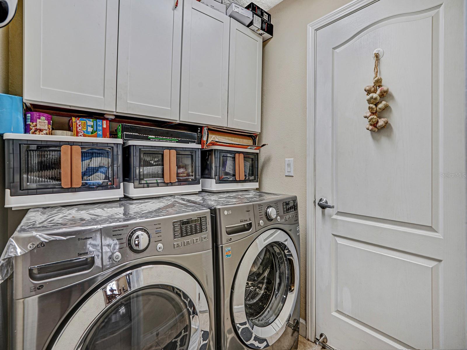 13410 GRAHAM YARDEN DR, RIVERVIEW, FL, 33579