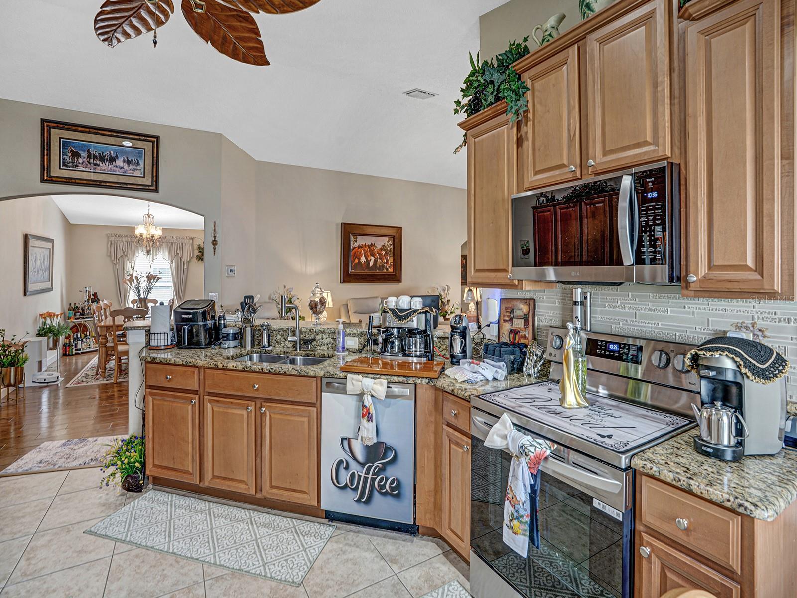 13410 GRAHAM YARDEN DR, RIVERVIEW, FL, 33579