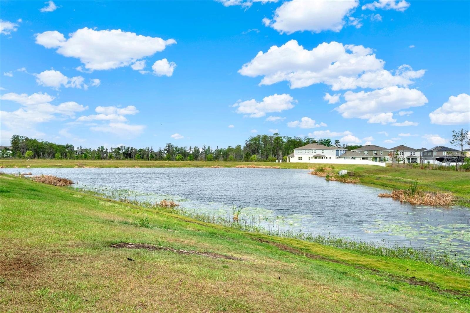 8114 SAYINGS DR, WINTER GARDEN, FL, 34787