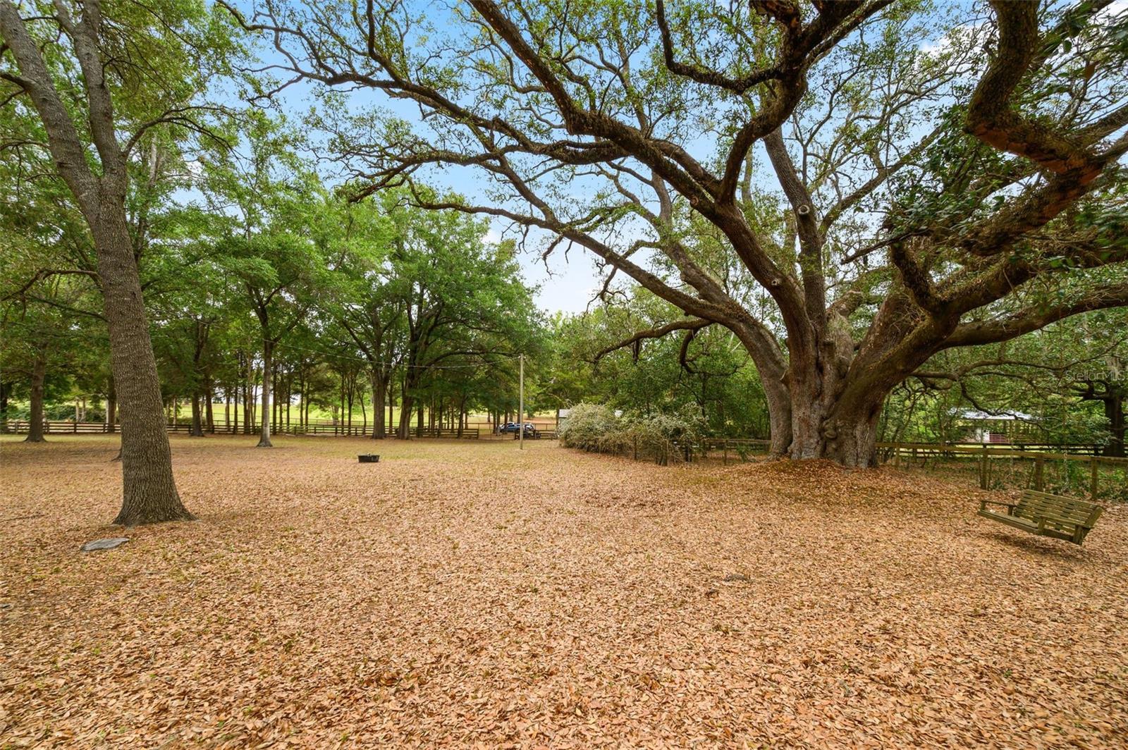 8822 NW 170TH ST, ALACHUA, FL, 32615