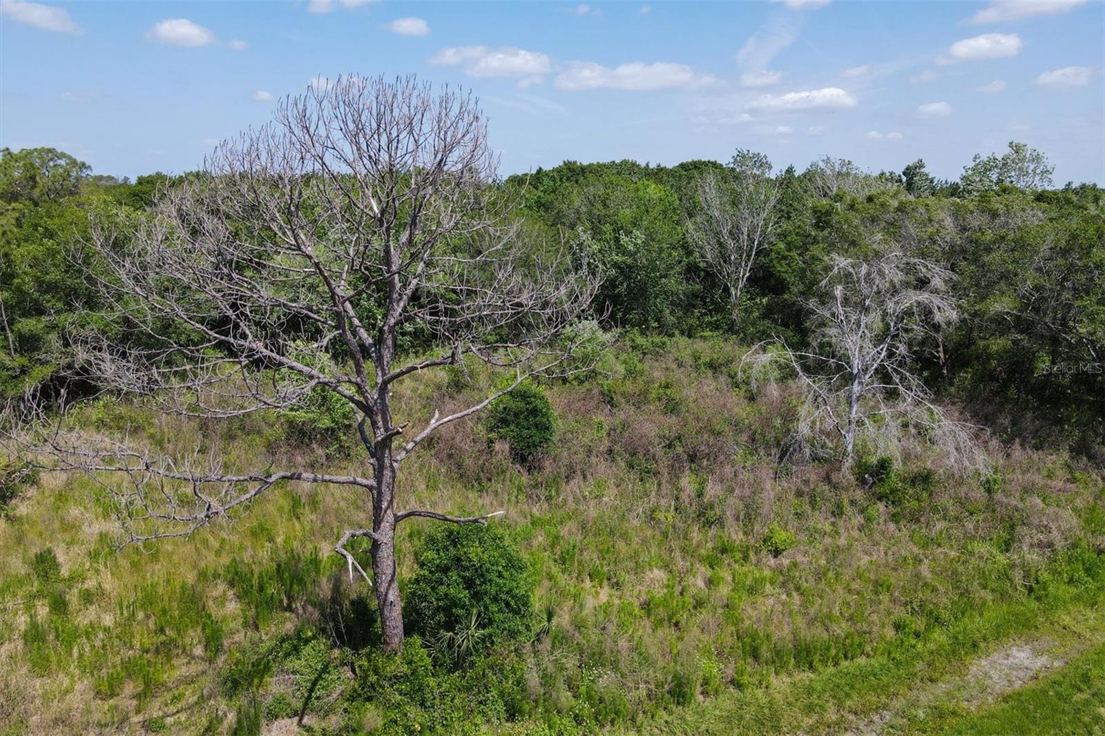 1729 SHENANDOAH RD, WIMAUMA, FL, 33598