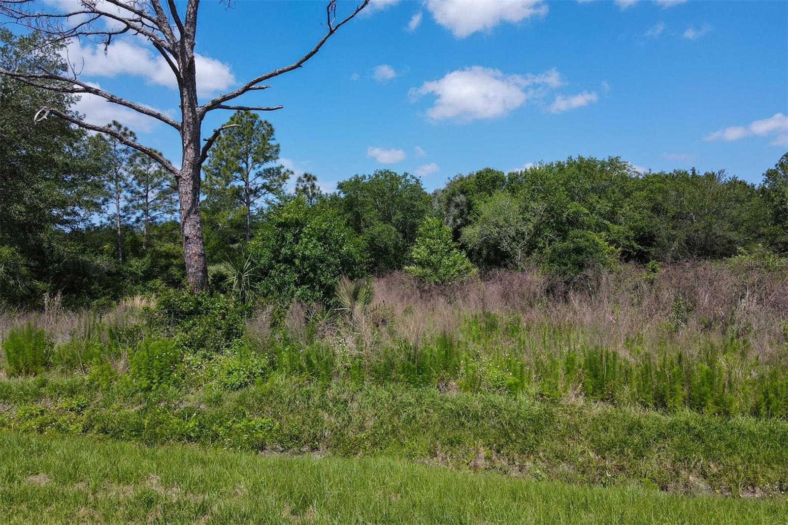 1729 SHENANDOAH RD, WIMAUMA, FL, 33598