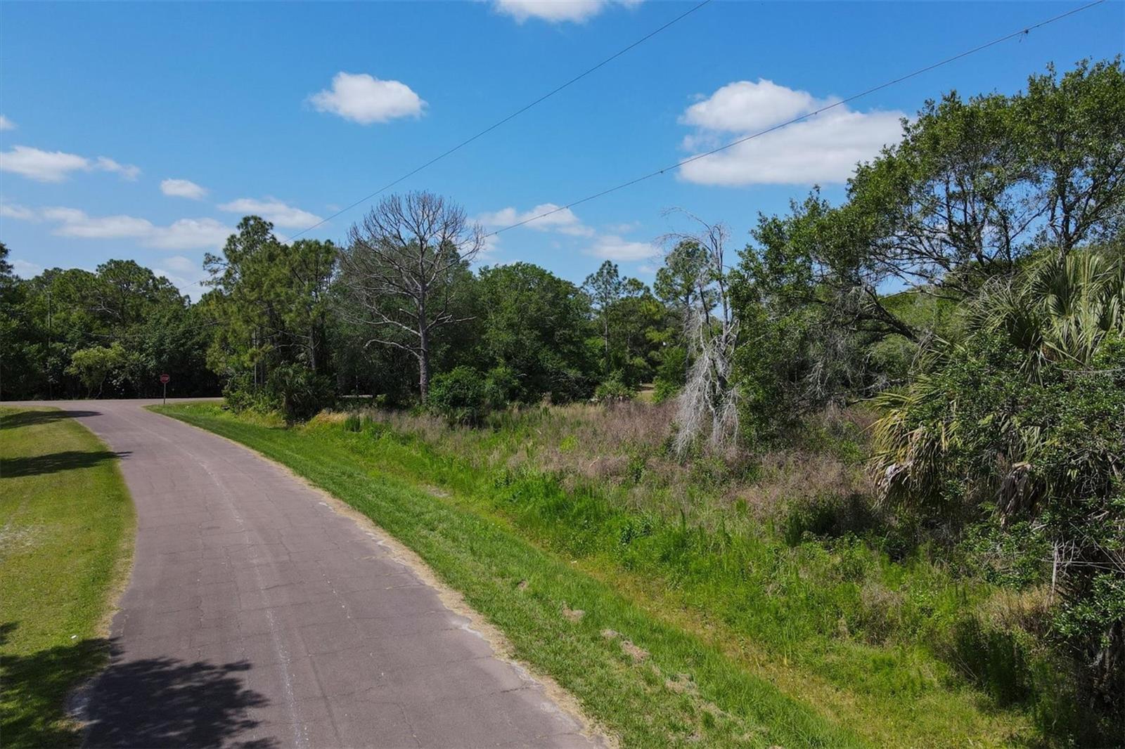 1729 SHENANDOAH RD, WIMAUMA, FL, 33598