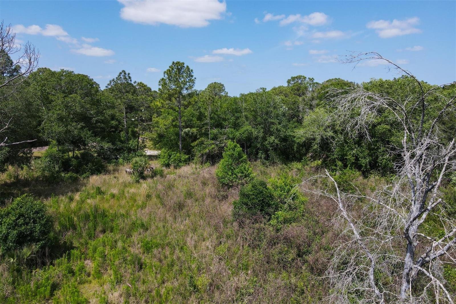 1729 SHENANDOAH RD, WIMAUMA, FL, 33598