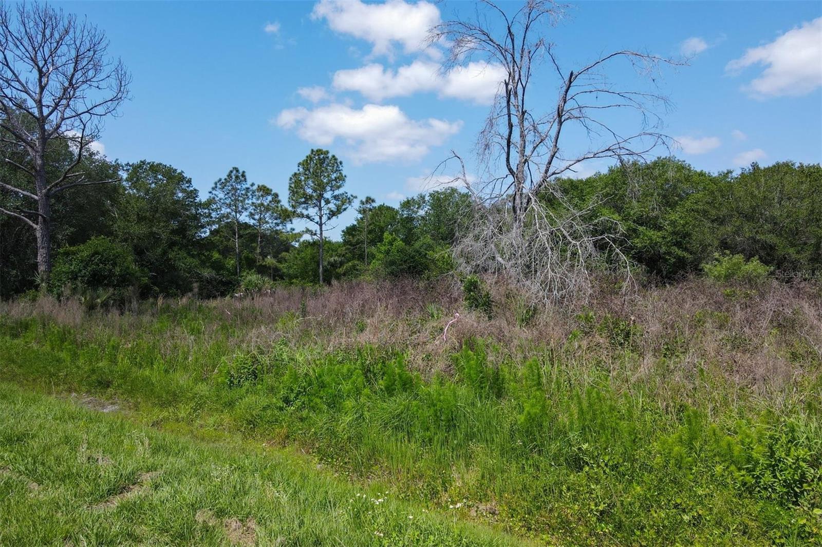 1729 SHENANDOAH RD, WIMAUMA, FL, 33598