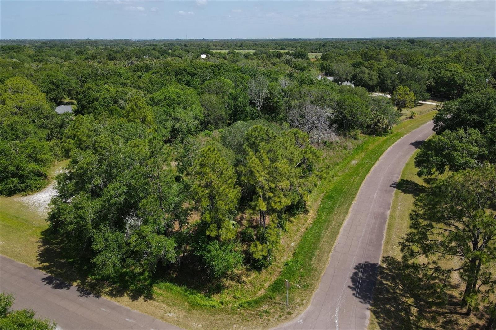 1729 SHENANDOAH RD, WIMAUMA, FL, 33598