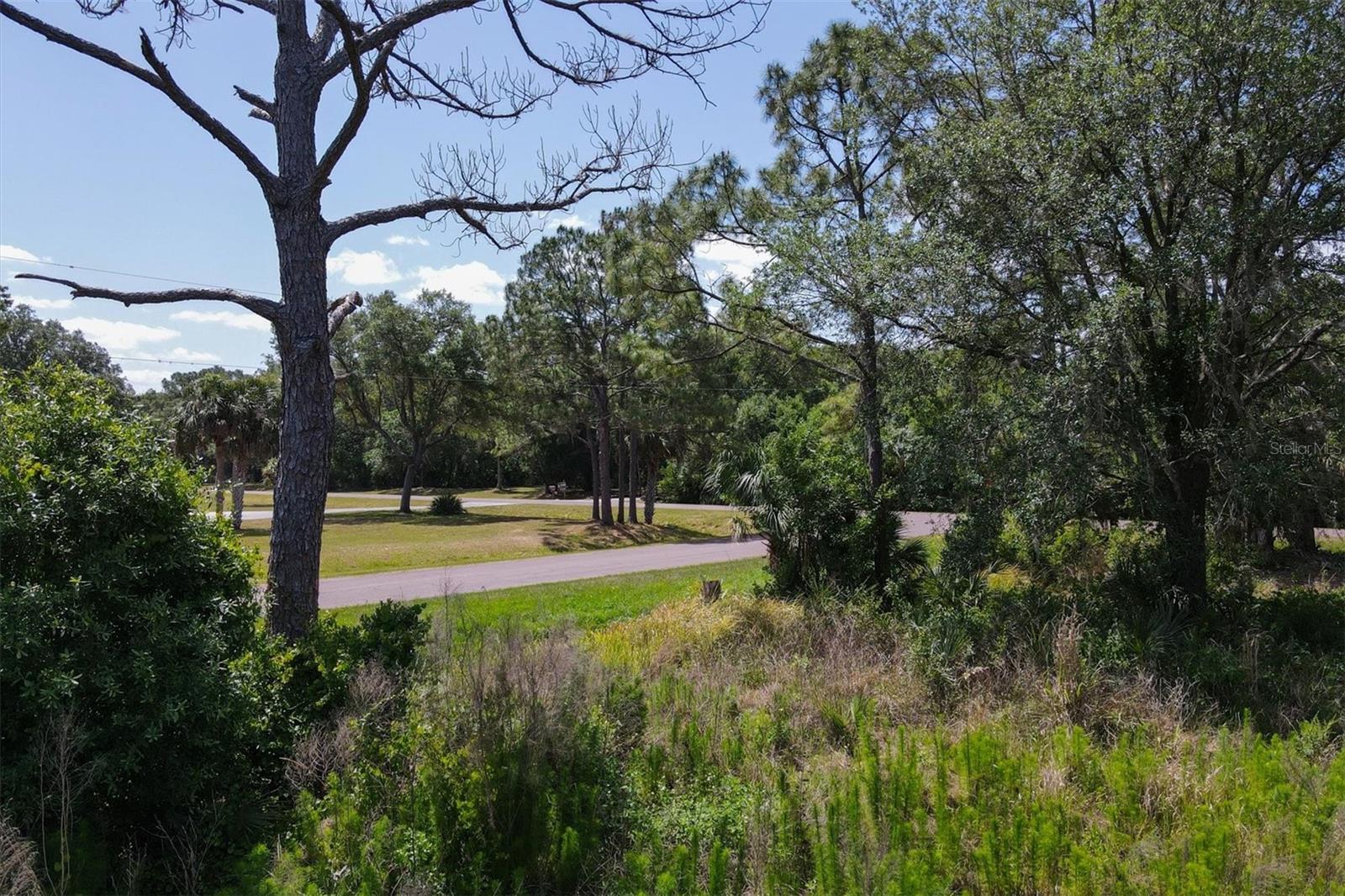 1729 SHENANDOAH RD, WIMAUMA, FL, 33598