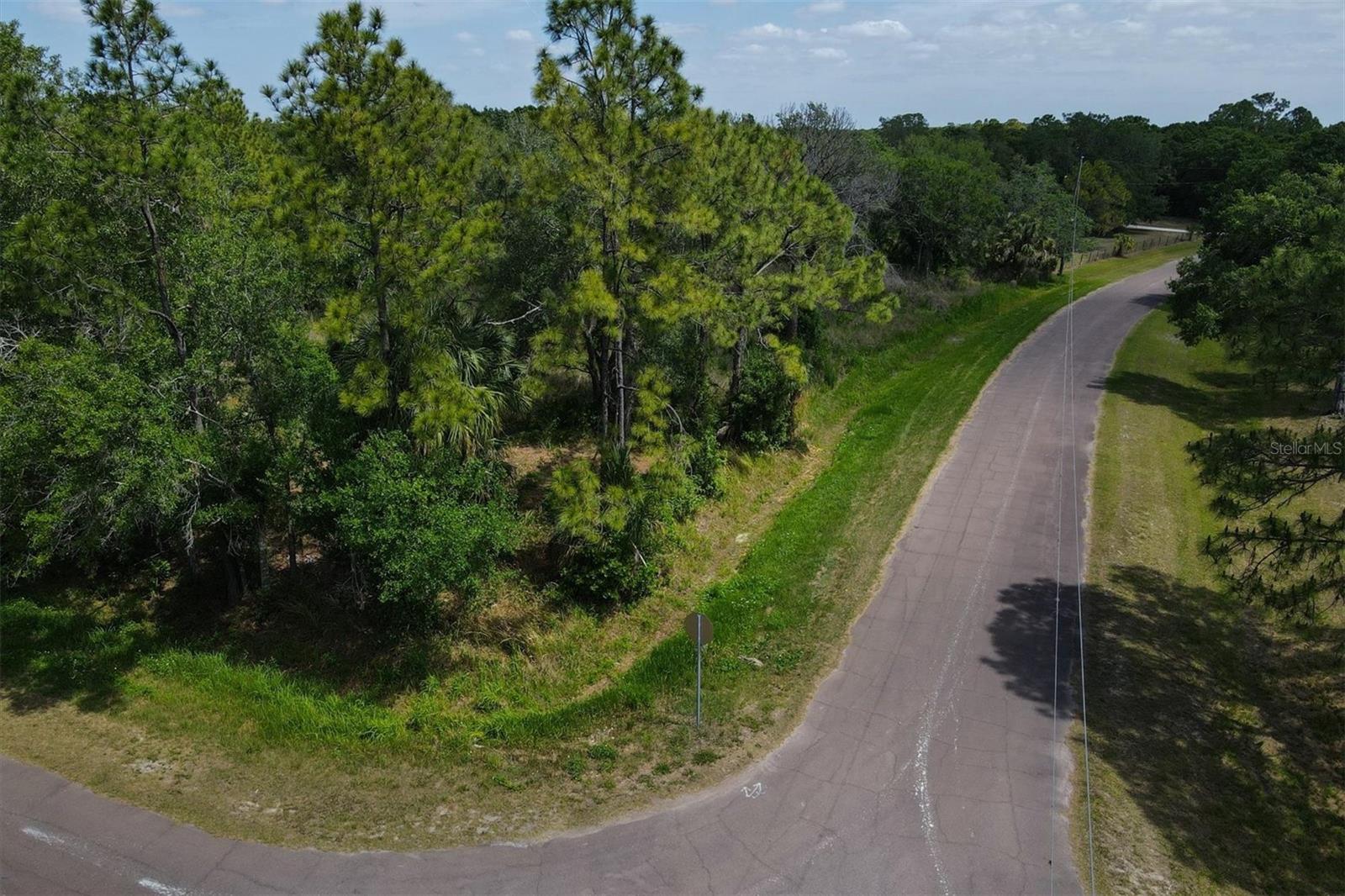 1729 SHENANDOAH RD, WIMAUMA, FL, 33598