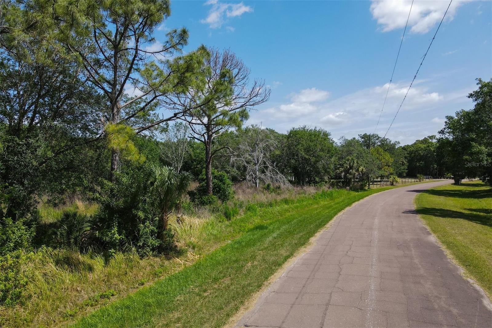 1729 SHENANDOAH RD, WIMAUMA, FL, 33598