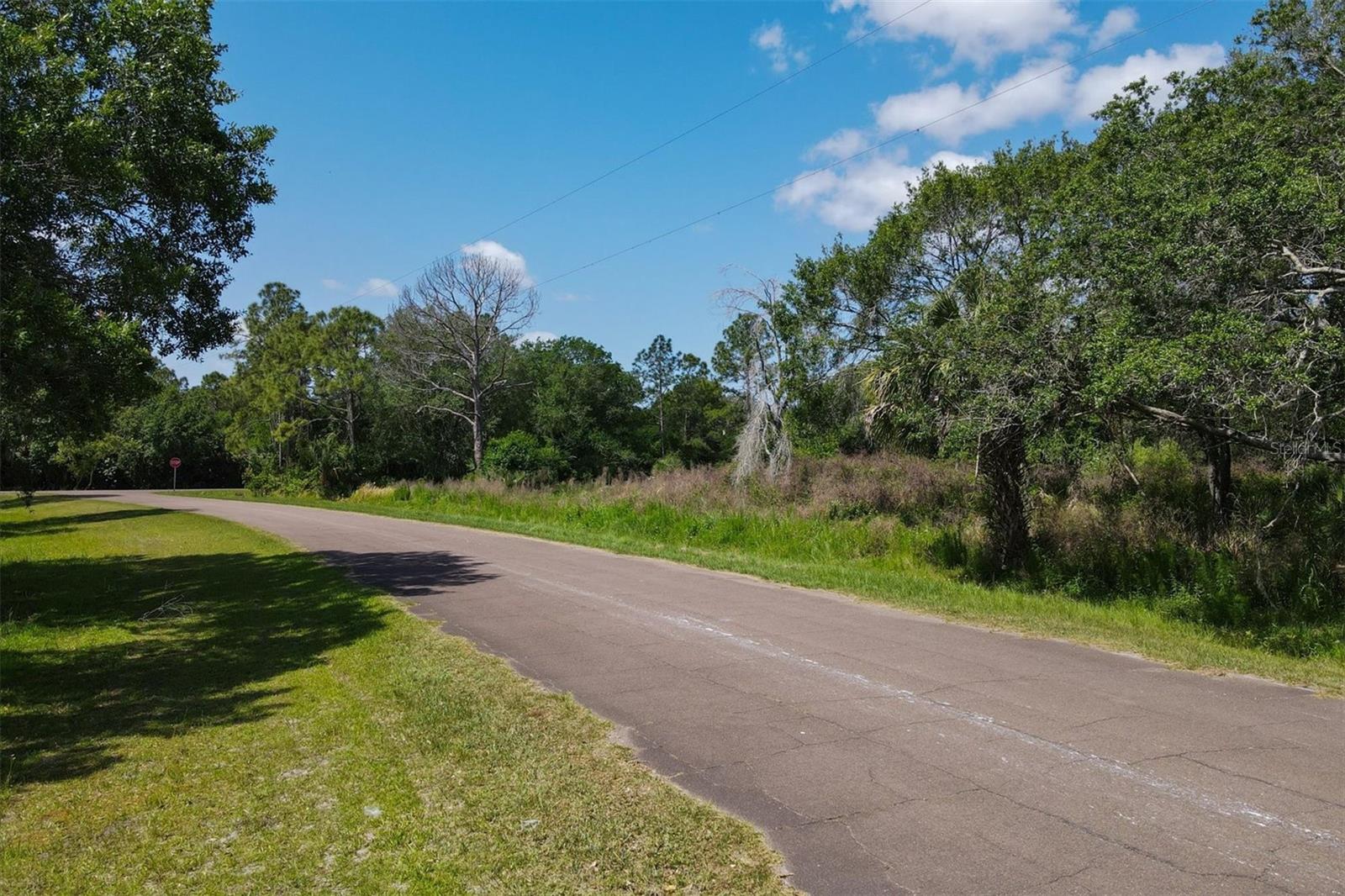 1729 SHENANDOAH RD, WIMAUMA, FL, 33598