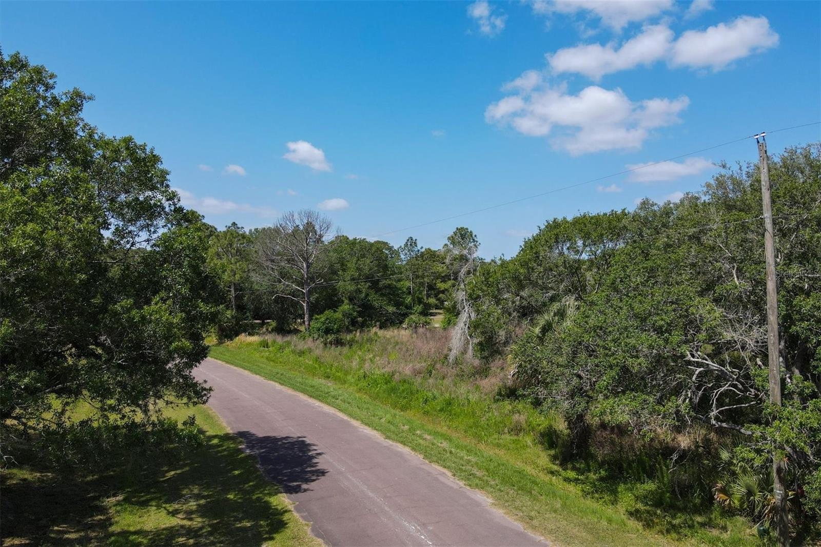 1729 SHENANDOAH RD, WIMAUMA, FL, 33598