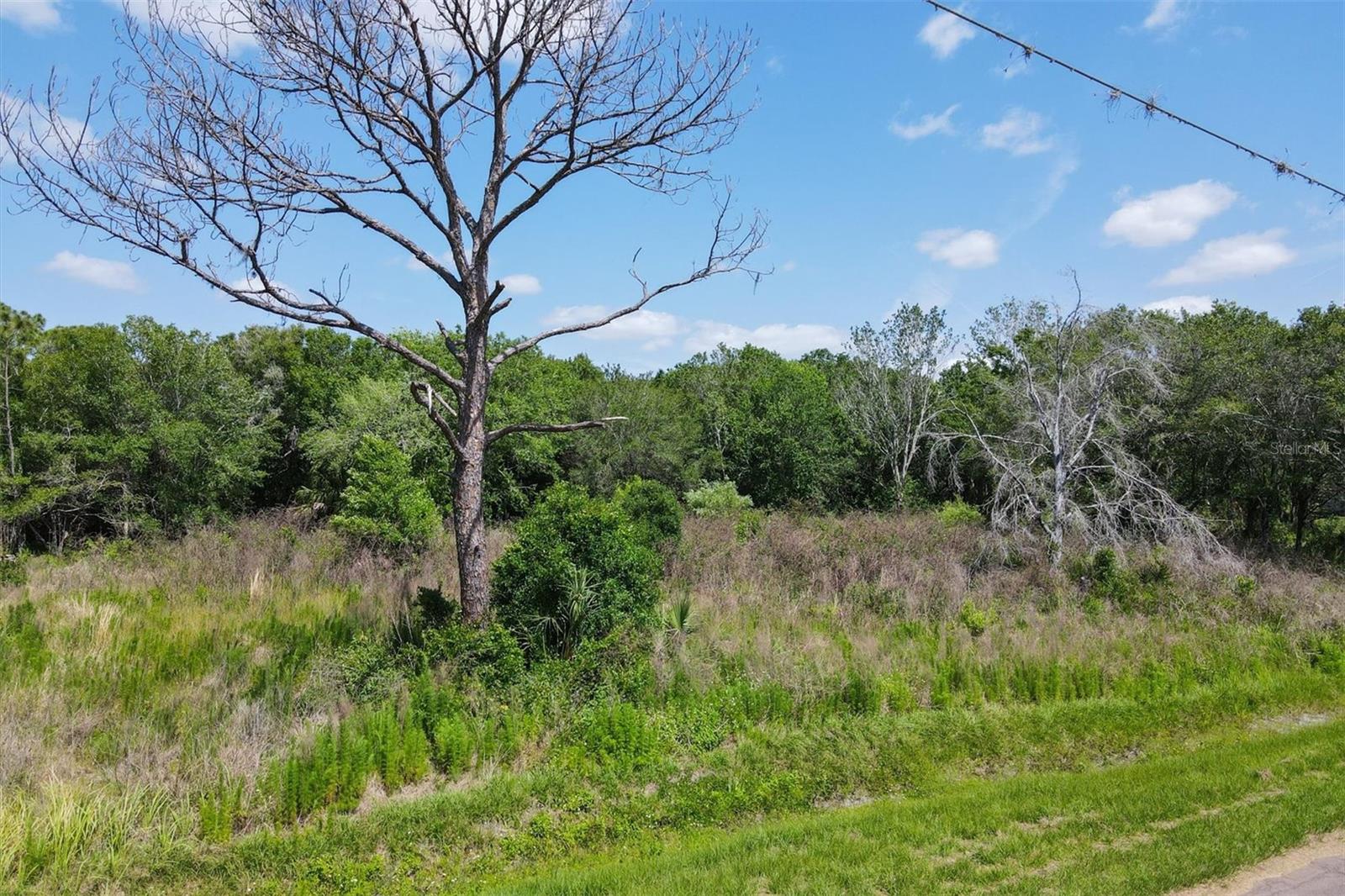 1729 SHENANDOAH RD, WIMAUMA, FL, 33598