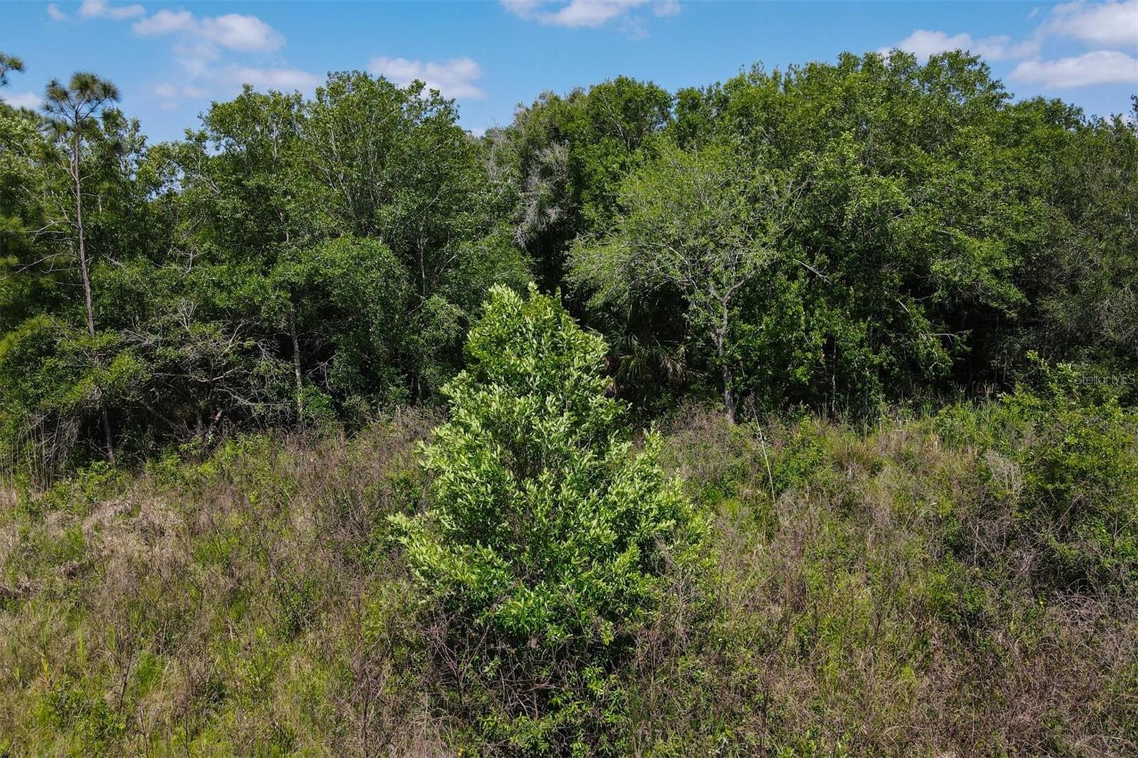 1729 SHENANDOAH RD, WIMAUMA, FL, 33598