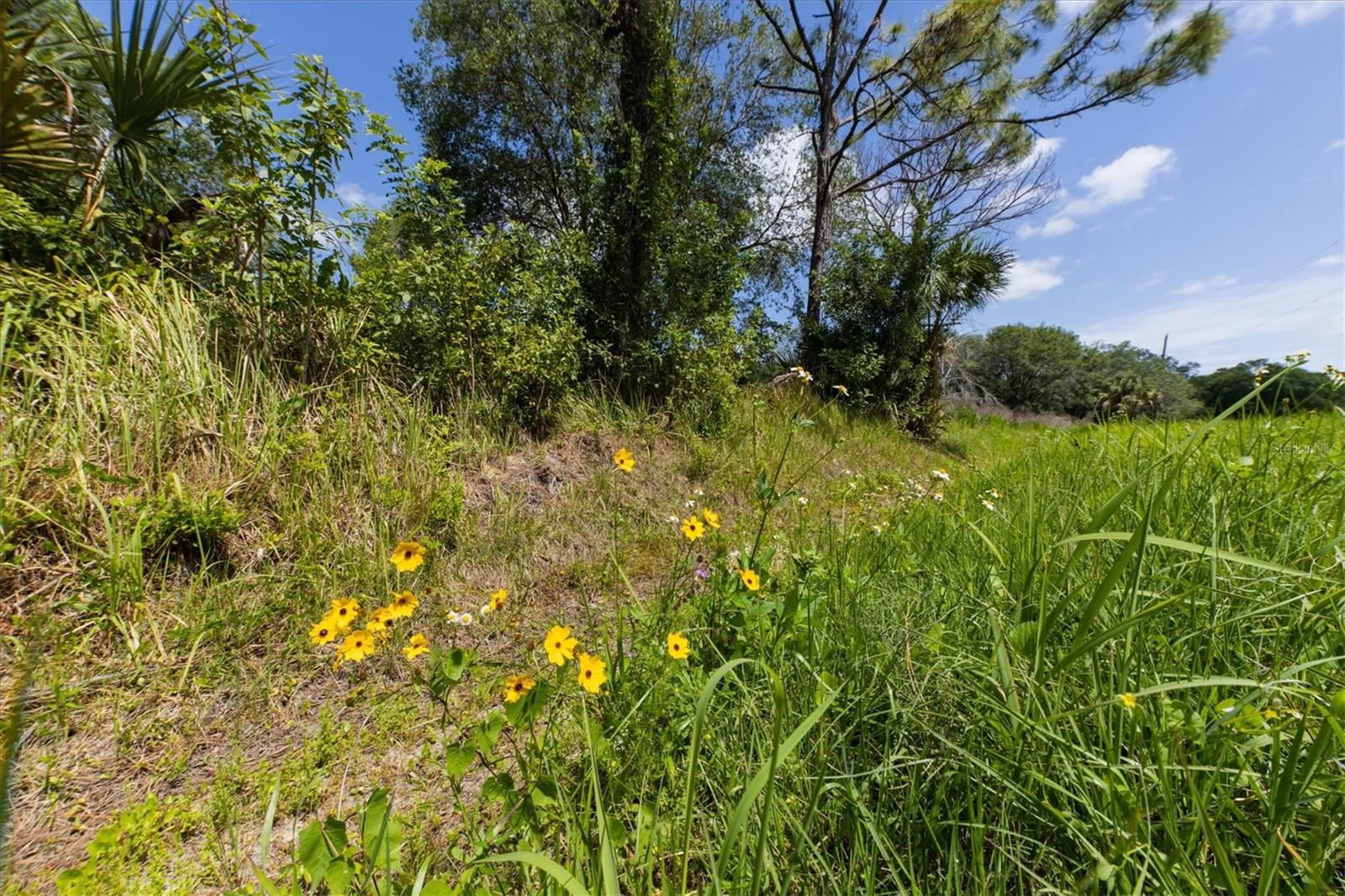 1729 SHENANDOAH RD, WIMAUMA, FL, 33598