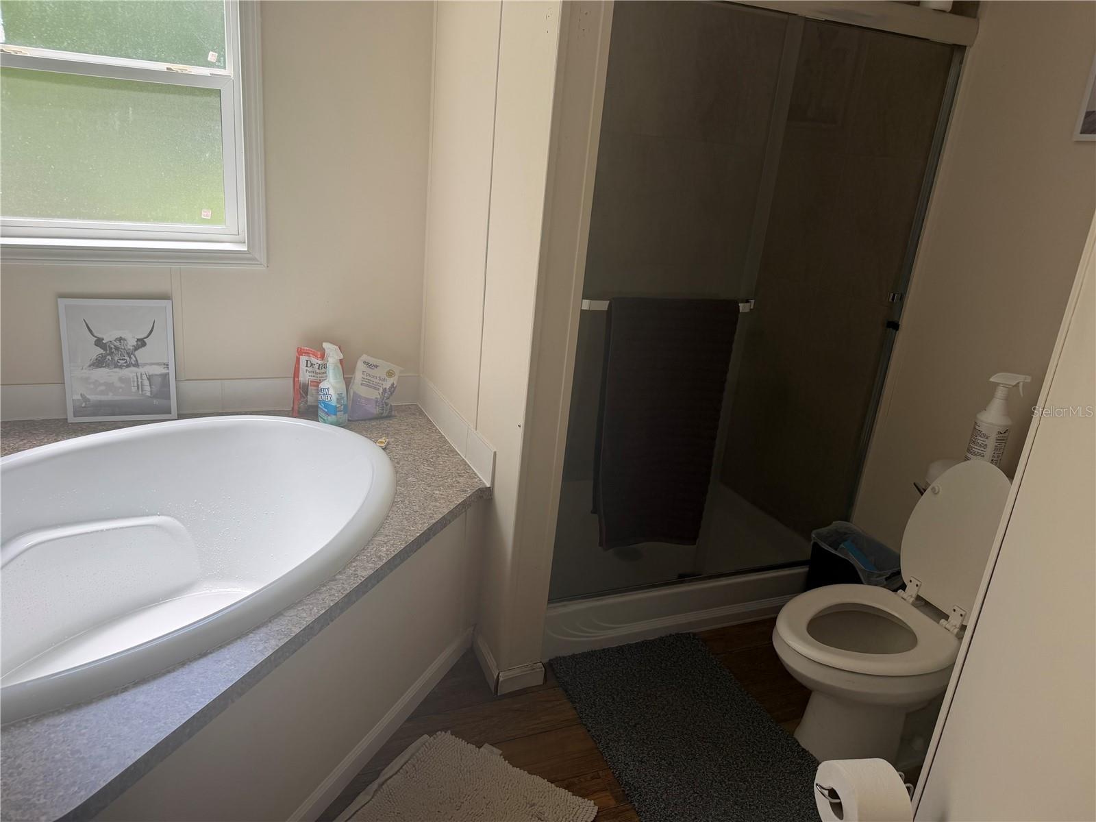 2930 PALMETTO ST, BUNNELL, FL, 32110