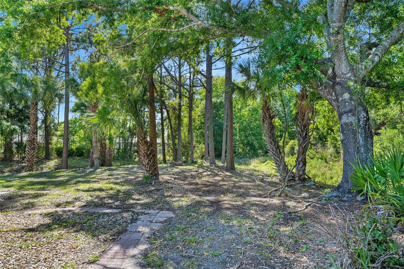 6 BIG HORN PL, PALM COAST, FL, 32137