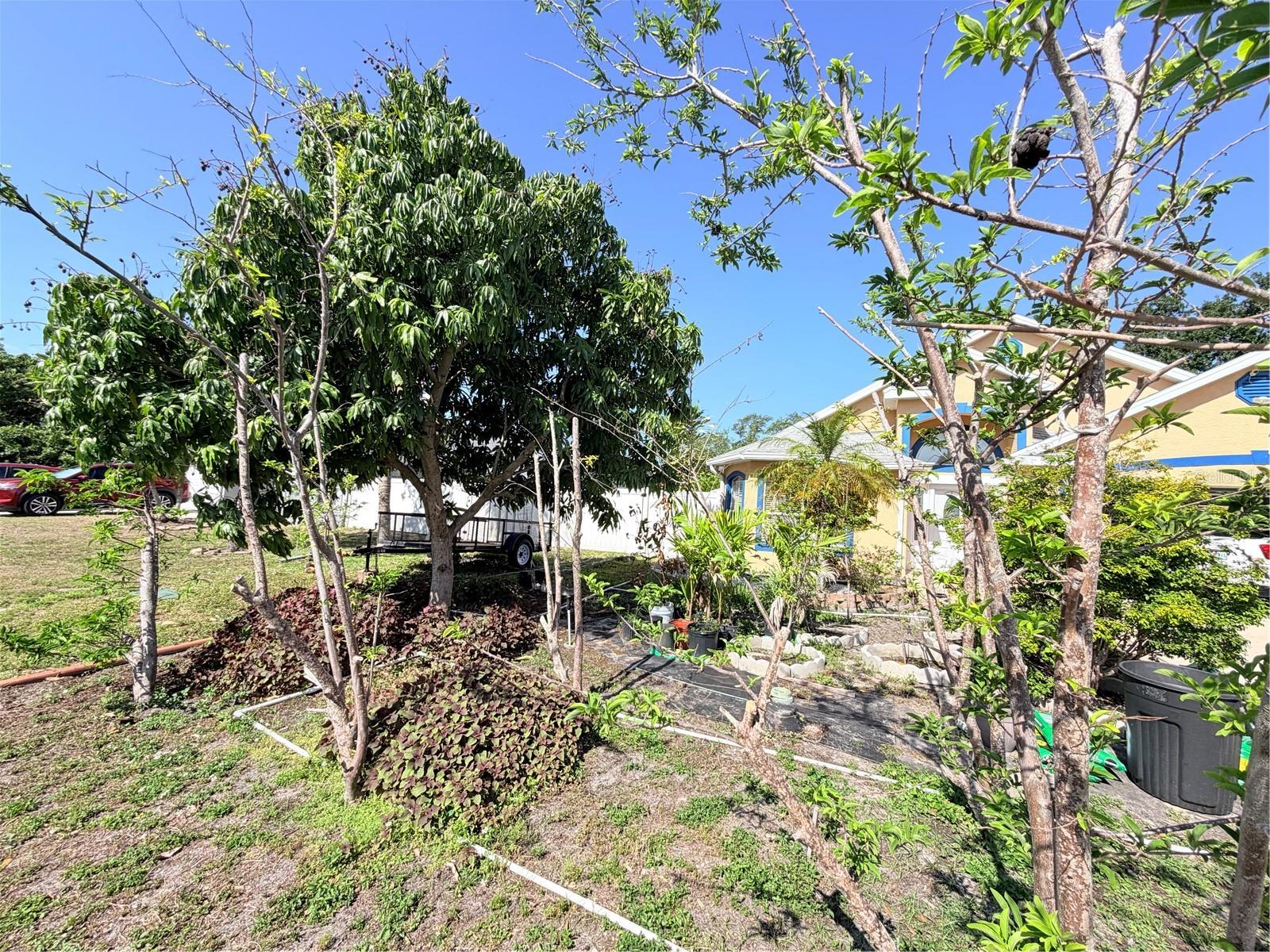 1150 OAKWOOD DR, DUNEDIN, FL, 34698