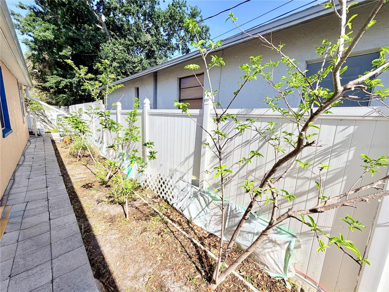 1150 OAKWOOD DR, DUNEDIN, FL, 34698