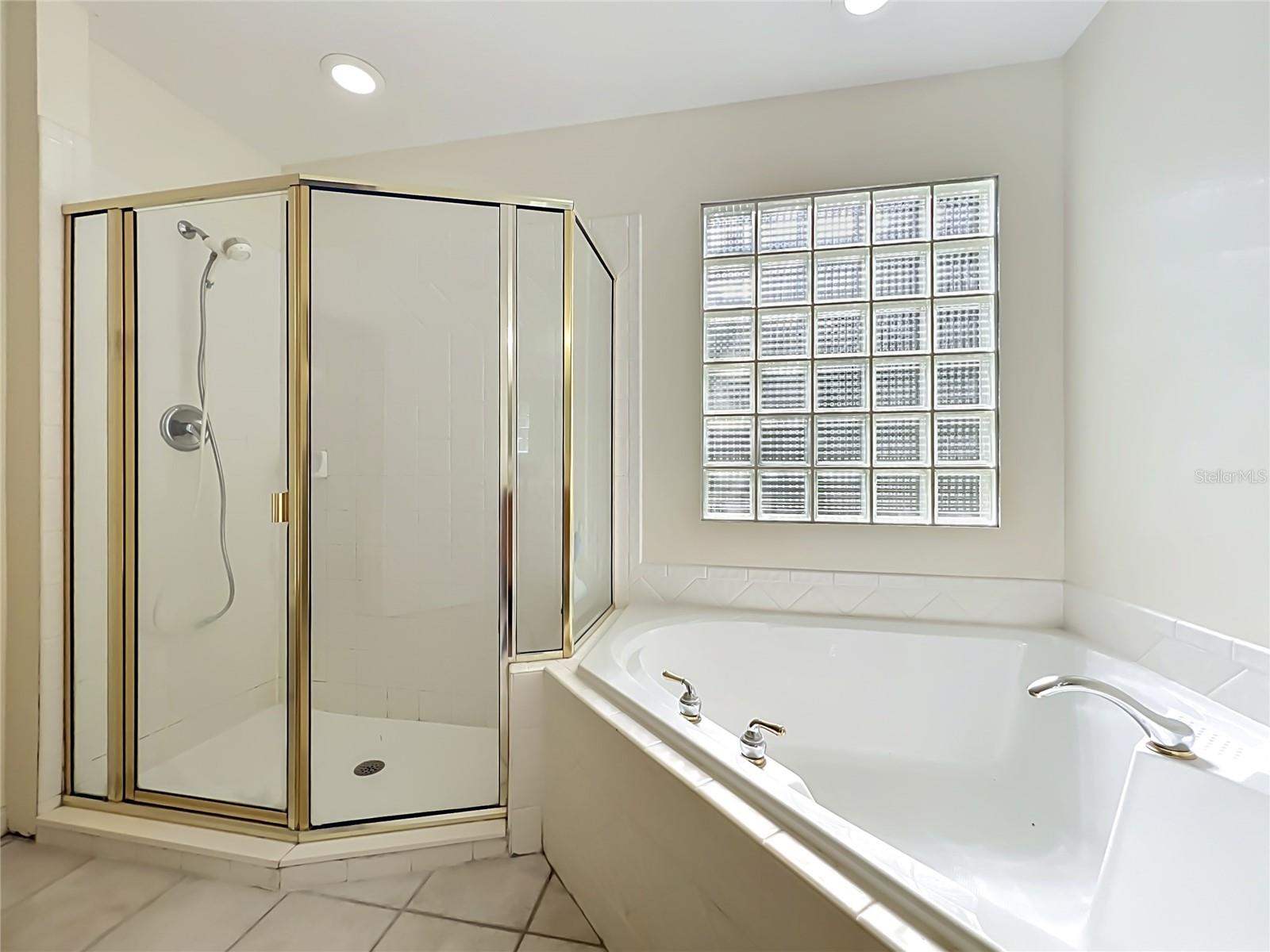 32936 SCENIC HILLS DR, MOUNT DORA, FL, 32757