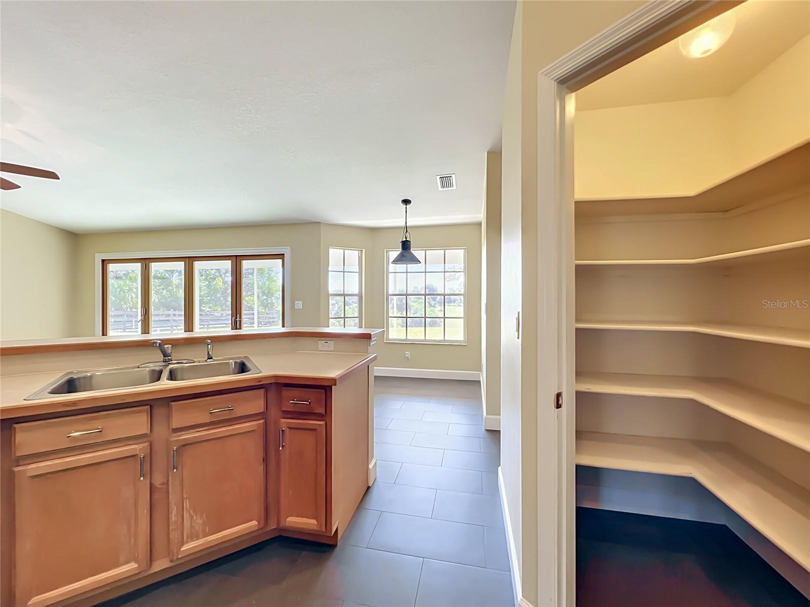 32936 SCENIC HILLS DR, MOUNT DORA, FL, 32757
