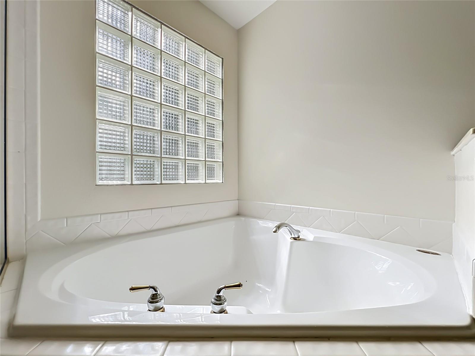 32936 SCENIC HILLS DR, MOUNT DORA, FL, 32757