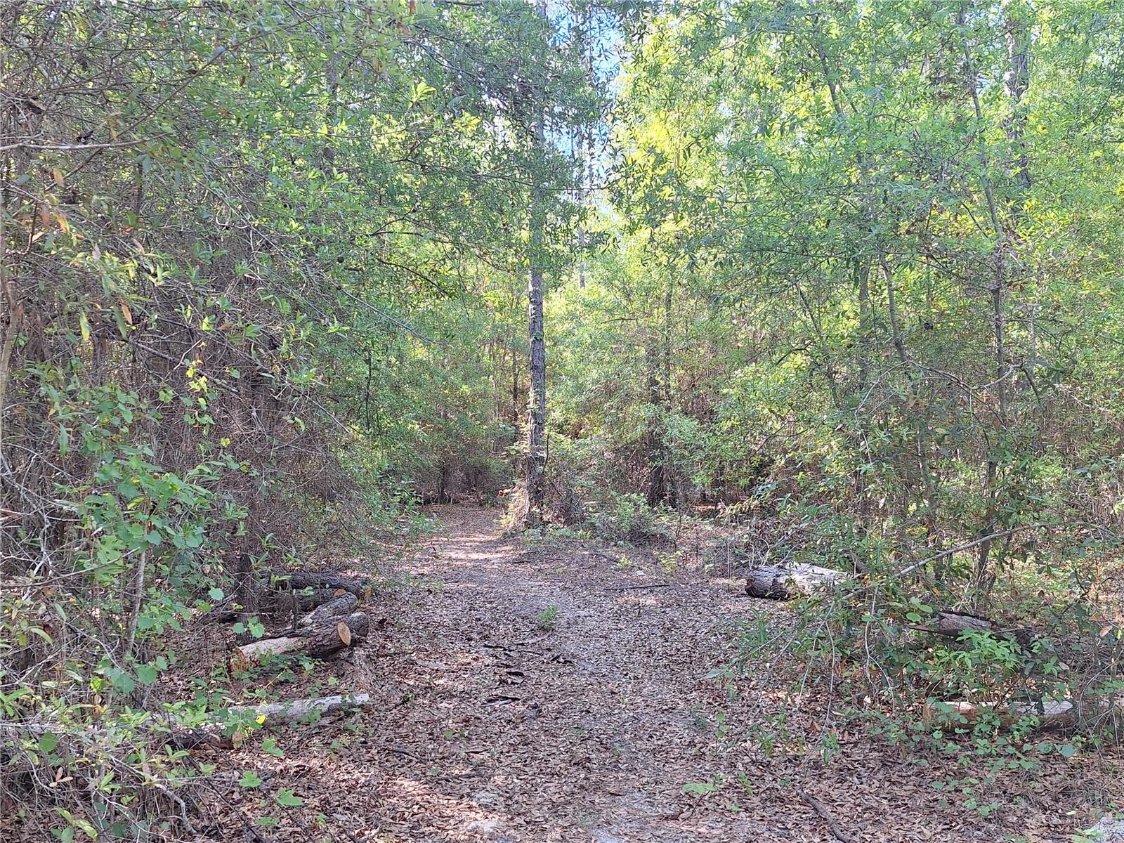 TBD 000 NE 998TH AVE, BRANFORD, FL, 32008