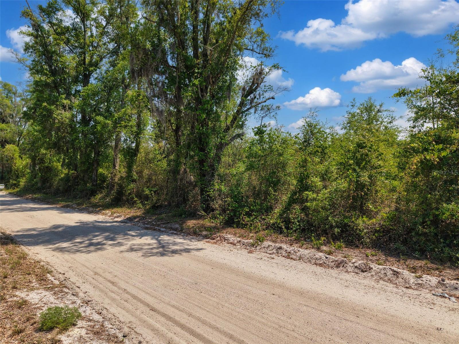 TBD 000 NE 998TH AVE, BRANFORD, FL, 32008