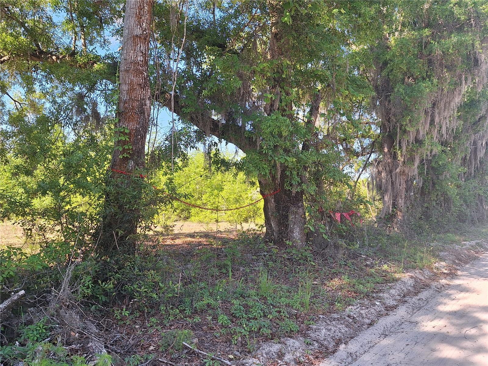 TBD 000 NE 998TH AVE, BRANFORD, FL, 32008